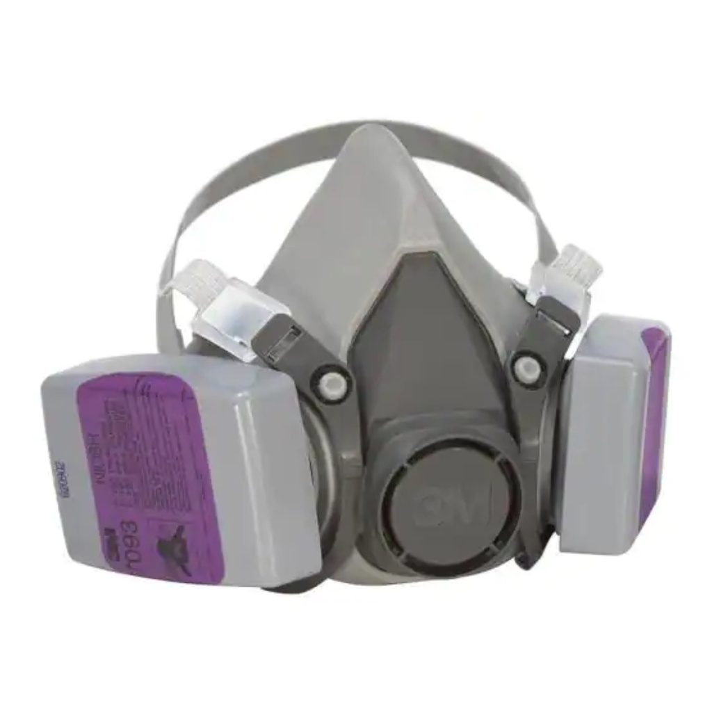 N100 Particulate Respirator, Standard Size