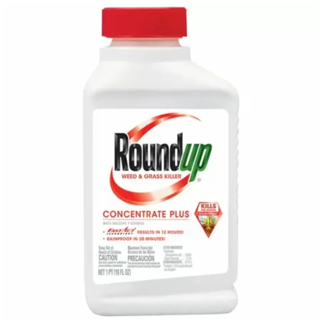 RNDUP WEED&GRS KLR 16OZ
