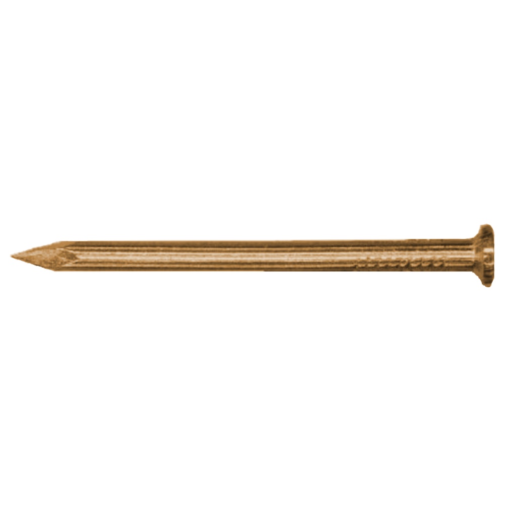 BROWN CONCRETE NAILS 1" 100PCS
