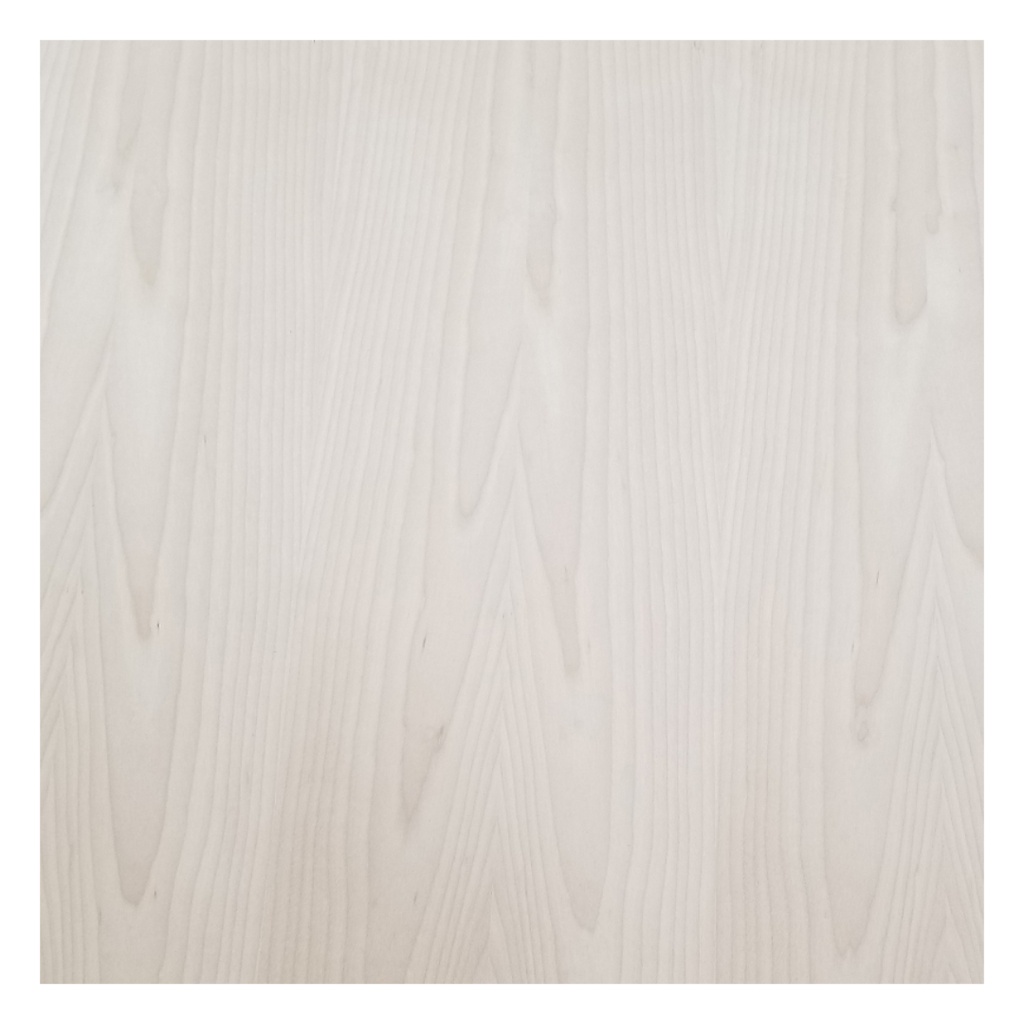 CHAPILLA WHITE BIRCH 4X8 P/B