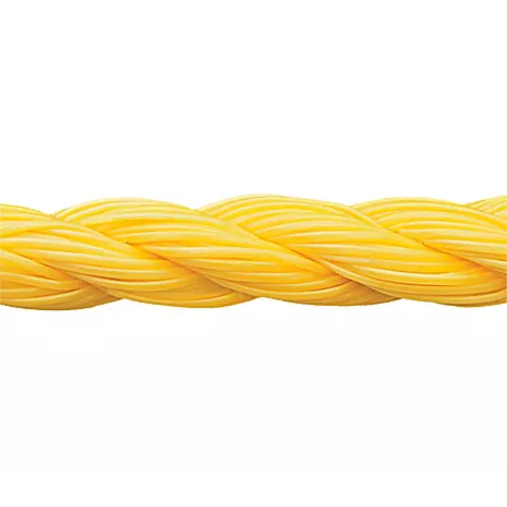 SOGA AMARILLA 5/16 55' X LB.