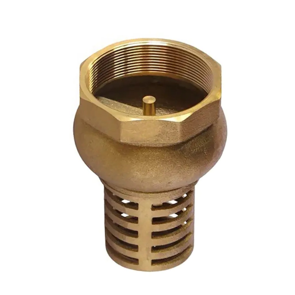 FOOT VALVE 3/4