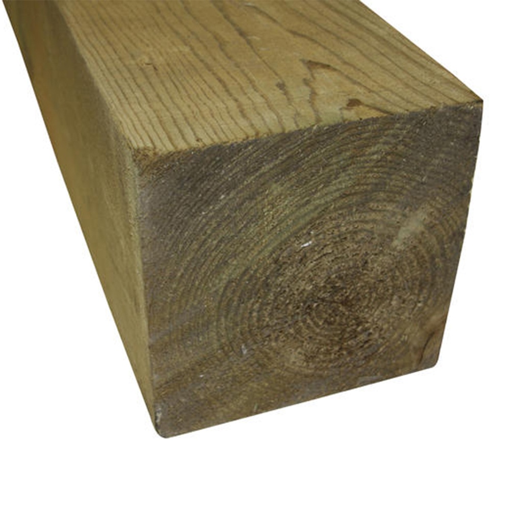 12X12X16 PINO CEP. TT