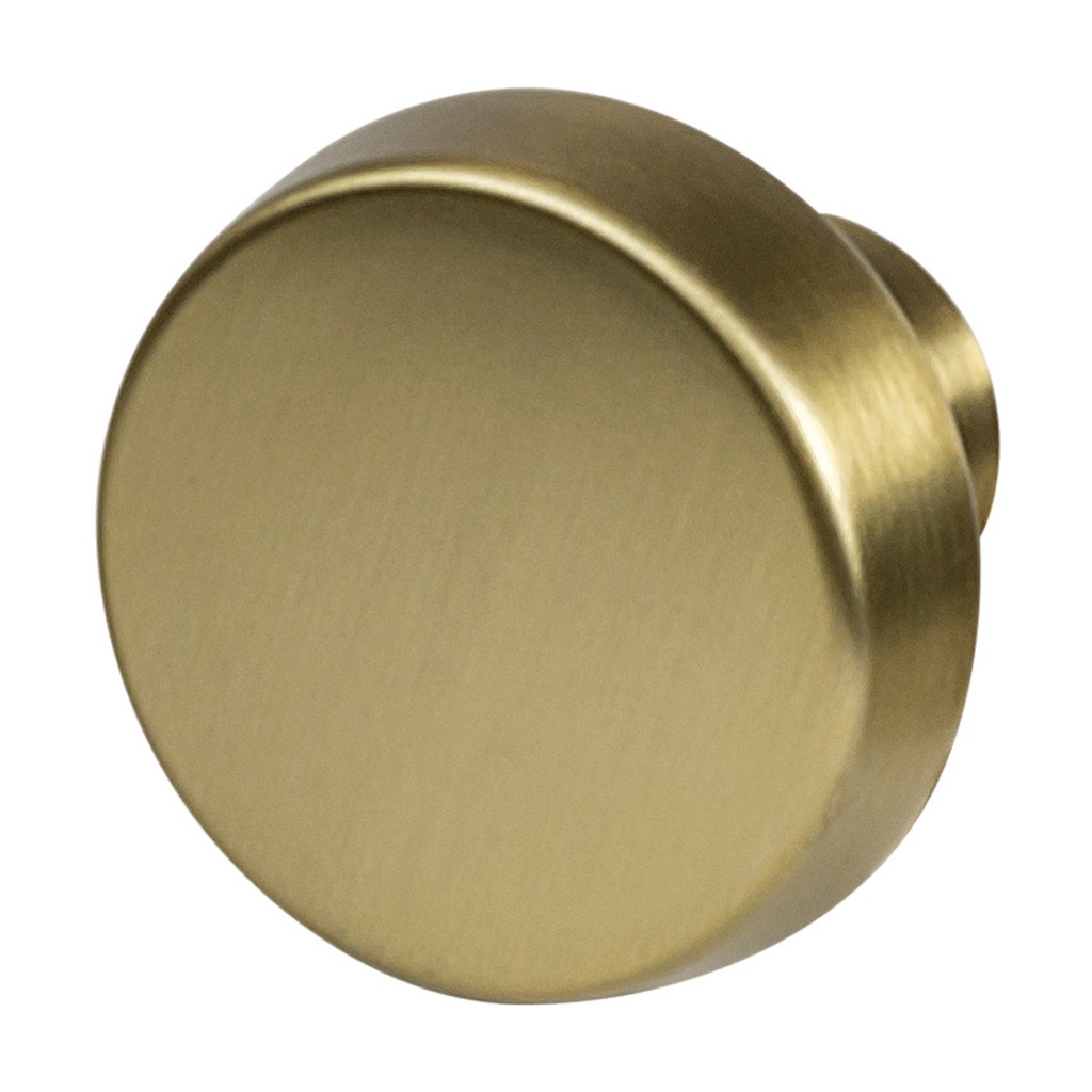[133.53.057] Amerock Blackrock Art Deco Round Cabinet Knob 1-5/16 in. D 1-1/16 in. Golden Champagne 1 Pk