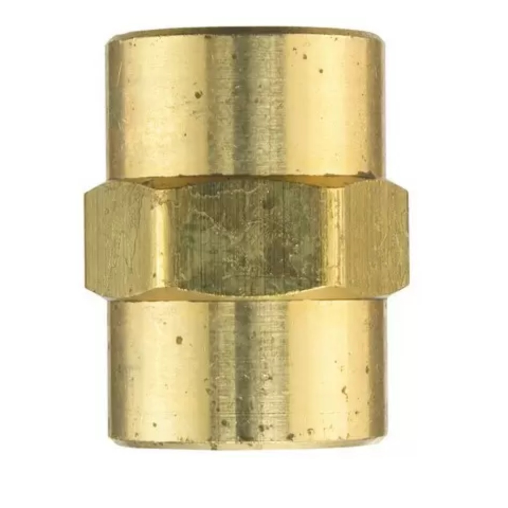 Company 3/8 in. FPT X 3/8 in. D FPT Brass Coupling