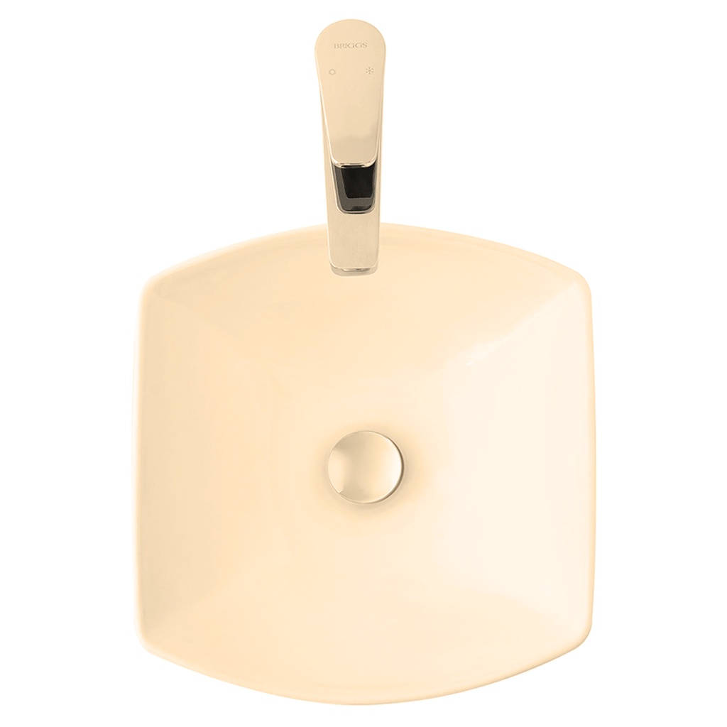 BRIGGS LAV. CUADRATO BONE