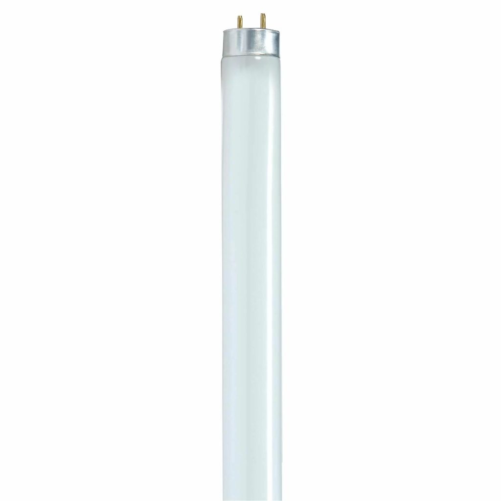 TUBO FLUOR. F32 T8 6500K 4' ELEC