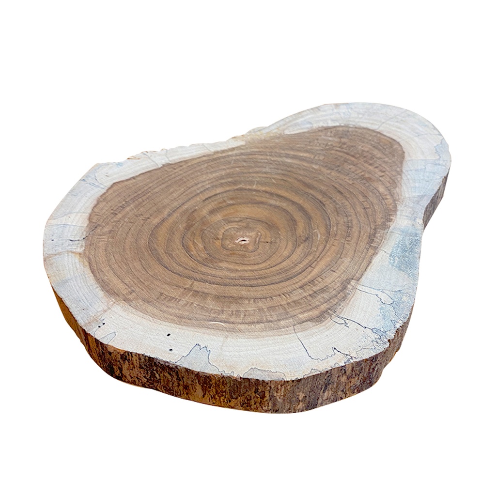 [059010007] SLAB TECA/SAMAN RODAJAS 7" @ 10"