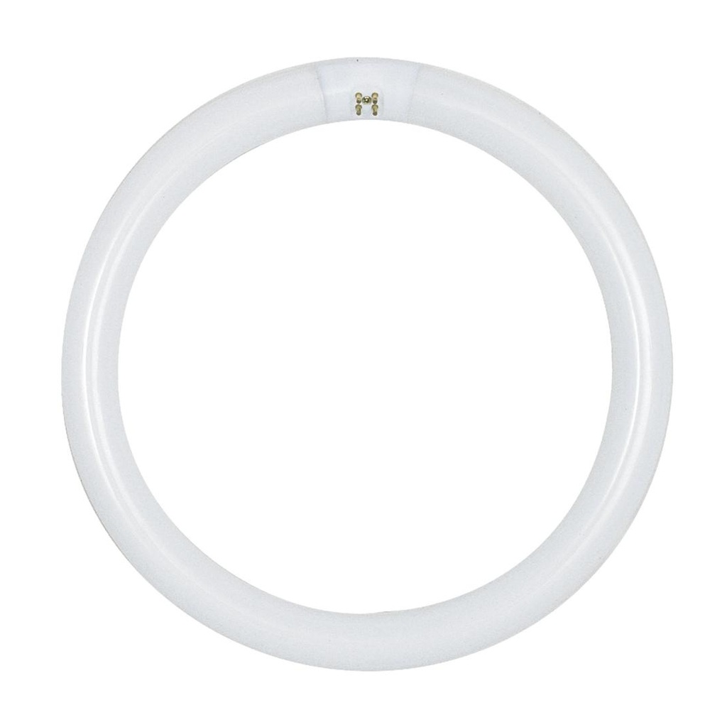 Satco S6504 12 Inch 32w T9 6500k Daylight G10q Circline Fluorescent Light Bulb