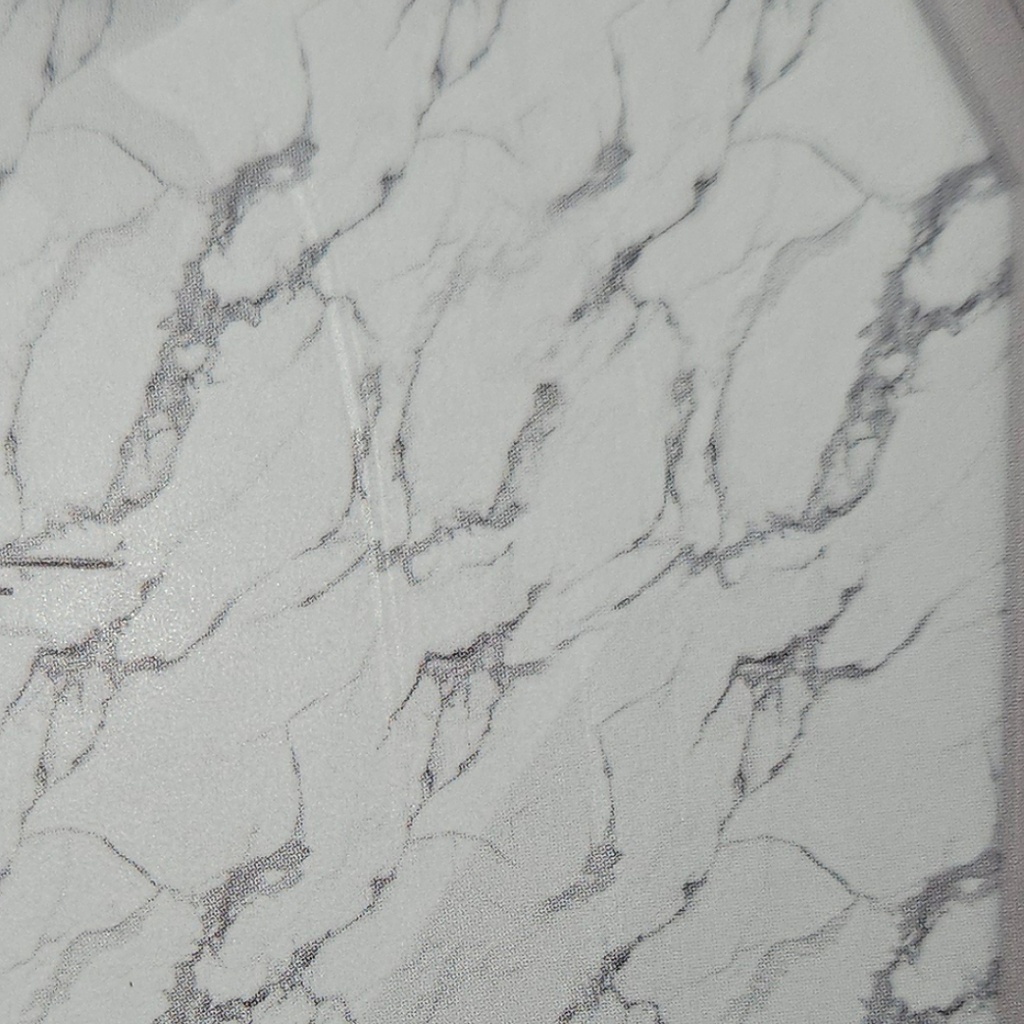 PANEL PVC UV #8209-02 48X110