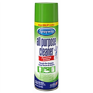 SPRAYWAY AP CLEANER 19OZ