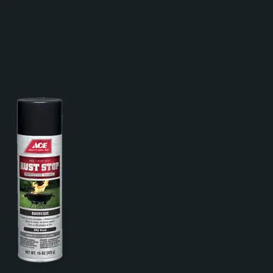 ACE RSTP SPRY BBQBLK15OZ