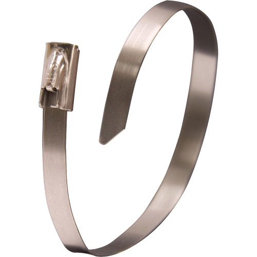 CABLE TIES 6" S/S BAG 10