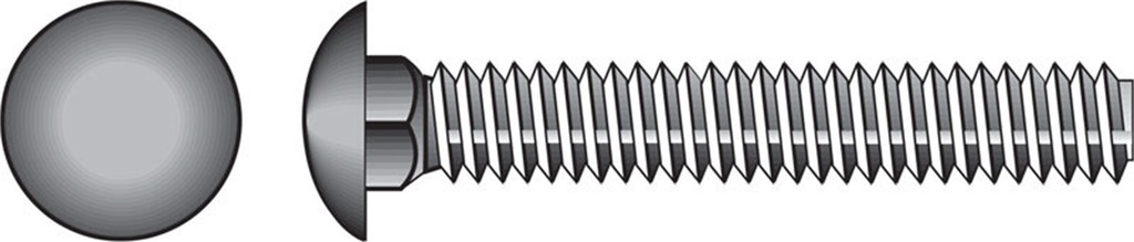 0832562 0.31 X 1 in. Stainless Steel Bolt Carriage