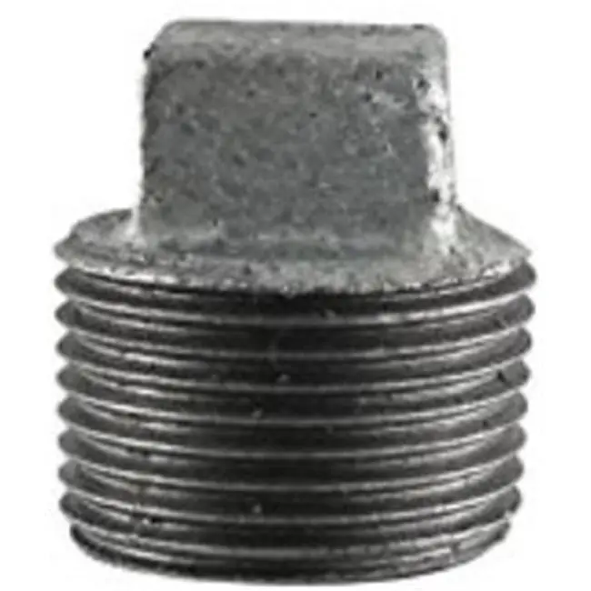 1/2 in. Galvanized Malleable Iron Plug Fitting