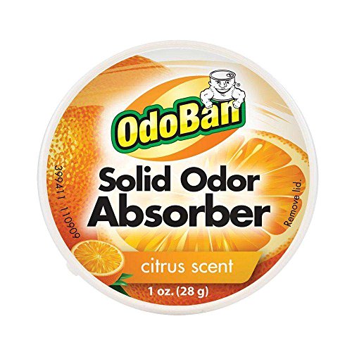1 Oz. Citrus Solid Odor Absorber, Odor Eliminator for Smoke Odor & Musty Smell in Home, Bathroom, Kitchen, Pet Areas