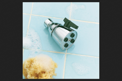 Ace Chrome Brass 6 Settings Adjustable Showerhead 2.5 Gpm