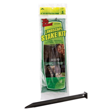 [70861] Master Mark 10 in. H Plastic Black Stake Kit