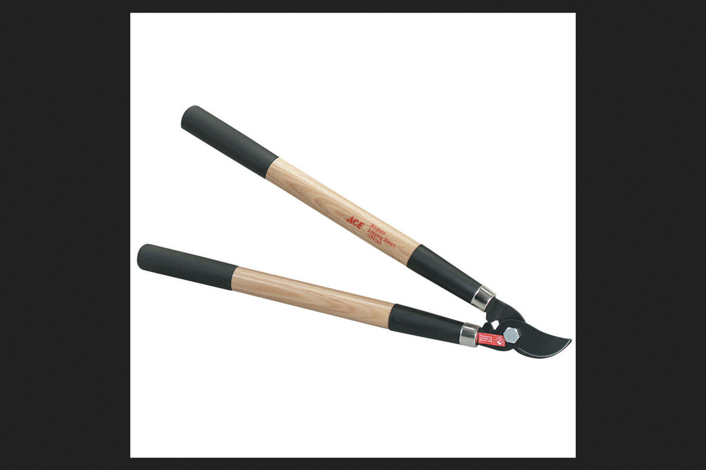 Ace GT2648 a 20.5 in. Carbon Steel Bypass Lopper