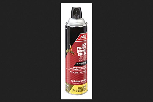 Liquid Wasp and Hornet Killer 20 Oz.