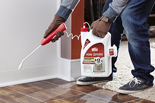 Ortho Home Defense Liquid Insect Killer 1.1 Gal