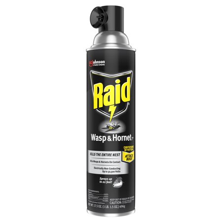 Raid Spray Wasp and Hornet Killer 17.5 Oz