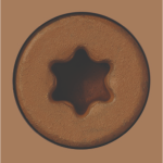 [DT62DT125] DECKFAST 8X1-1/4 TORX 5LB TAN