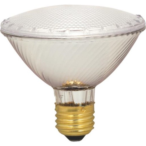 Satco Lighting S2237 Single 60 Watt Dimmable Par30 Shaped Medium (E26) Base Halogen Bulb -