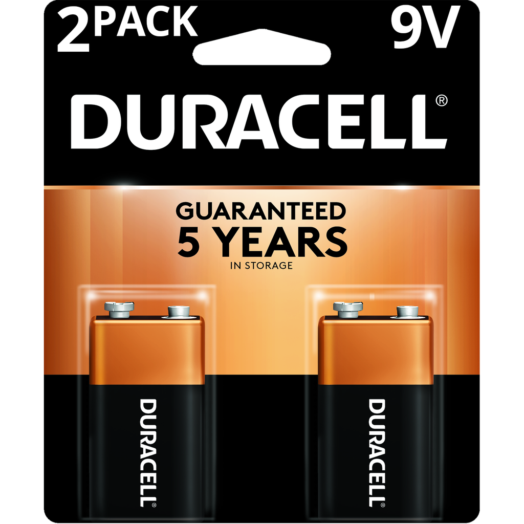 BATTERY ALKALINE 9V 2PK