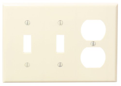 WALLPLAT 2SWTCH/RECEP IV