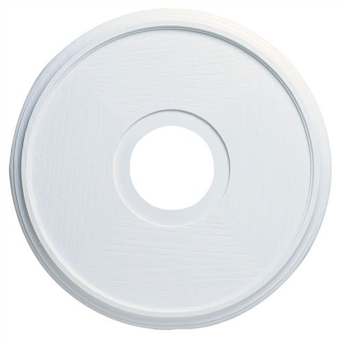 Westinghouse 16 in. D White Ceiling Medallion