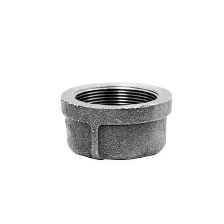 1/2 in. Galvanized Malleable Iron Cap Fitting