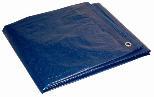Ace 10 Ft. W X 12 Ft. L Medium Duty Polyethylene Tarp Blue/Brown