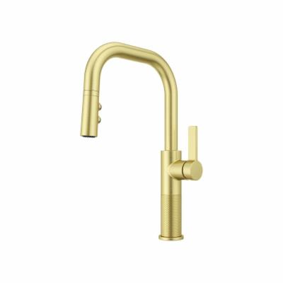 Pfister GT-529-MT Montay 1.8 GPM Single Hole Pull Down Kitchen Faucet with Magnetic Docking Brushed Gold Faucet Kitchen Single Handle