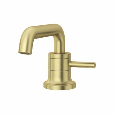 Pfister LG42-TNT Tenet 1.2 GPM Single Hole Bathroom Faucet with Push&Seal Drain Assembly Brushed Gold Faucet Bathroom Sink Faucets Single Handle