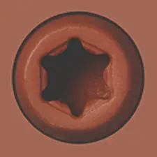 [TXD81L10200AG] CAP-TOR XD 2" CEDAR #81 100PC