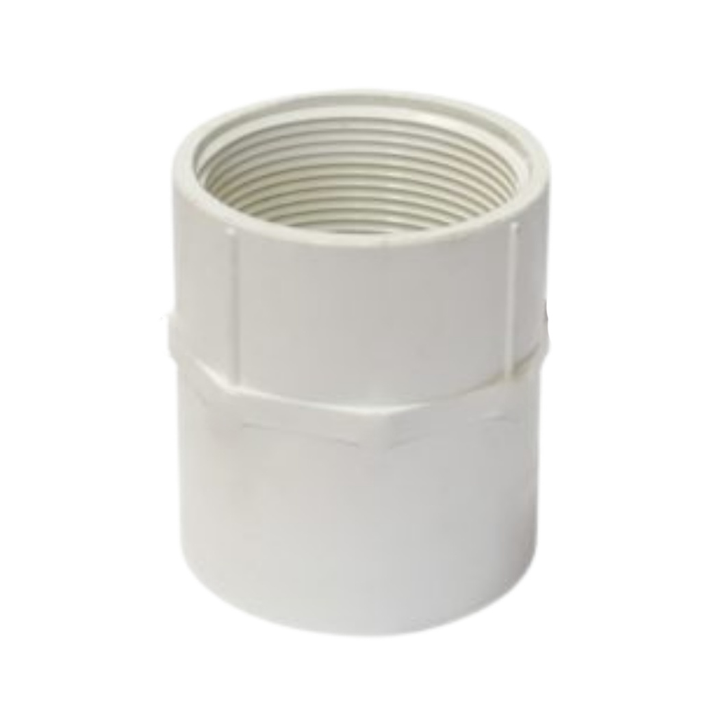 Charlotte Pipe Schedule 40 1-1/2 in. Slip X 1-1/2 in. D FPT PVC Adapter 1 Pk