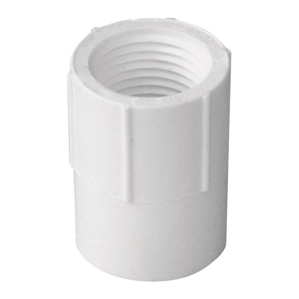 Charlotte Pipe Schedule 40 2 in. Slip X 2 in. D FPT PVC Pipe Adapter 1 Pk