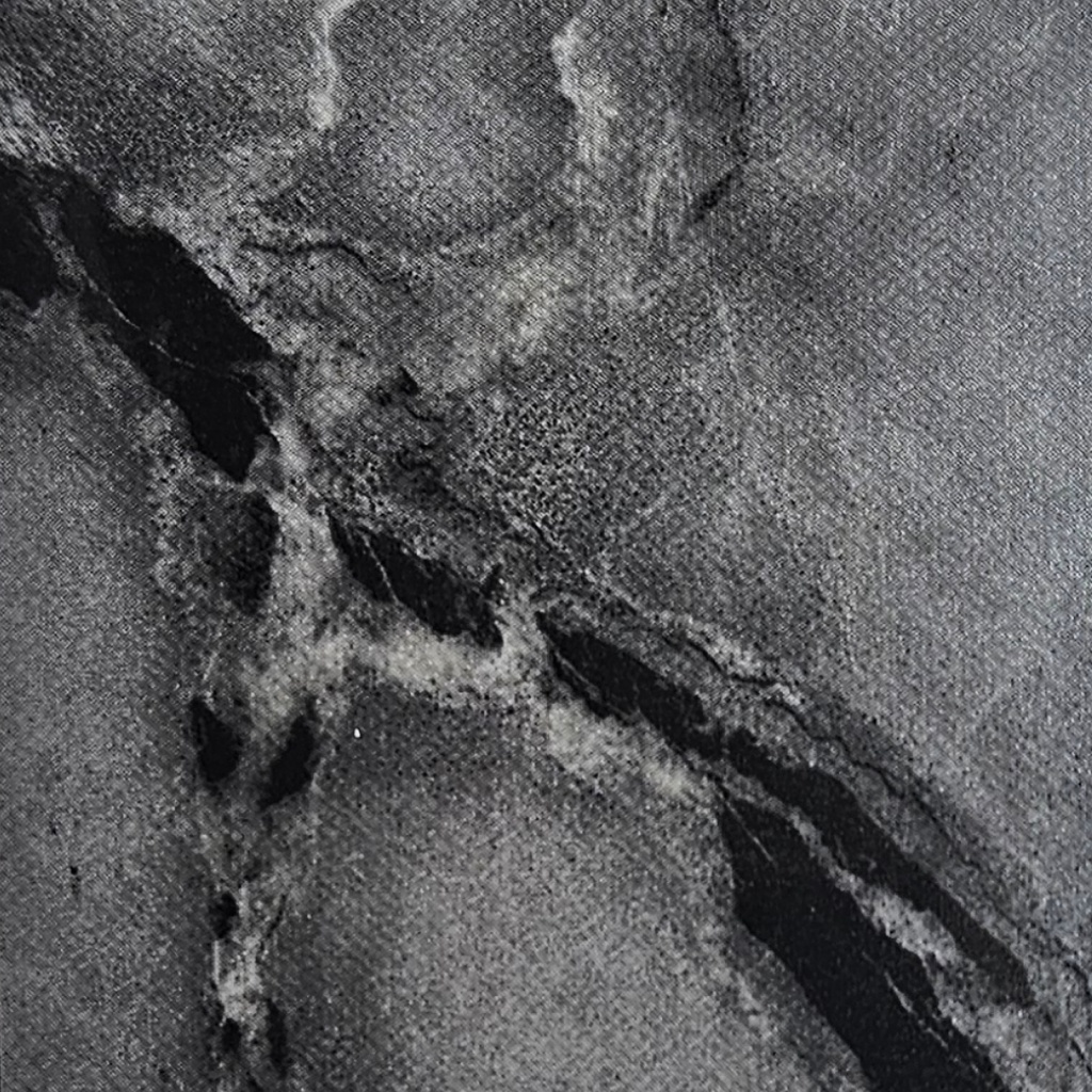 PANEL PVC UV #8041 48X110