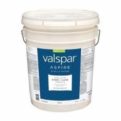 [1505635] ASPR SAT BW  5GAL