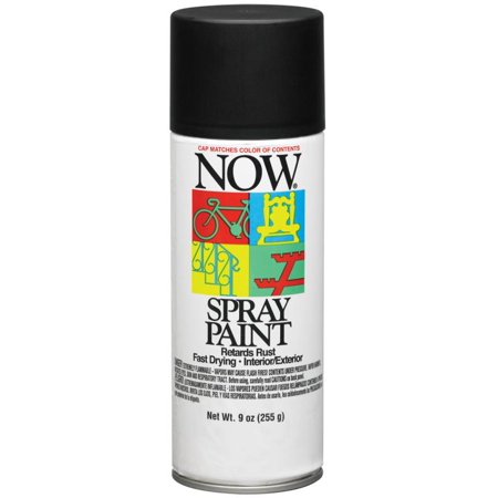 9 Oz Wrought Iron Black NOW Enamel Spray Paint