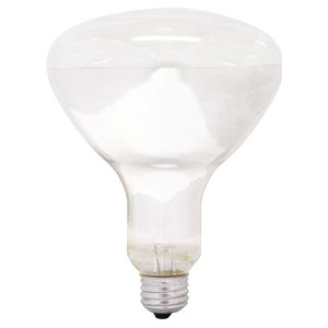 [3230745] Reveal 65 W BR40 Floodlight Incandescent Bulb E26 (Medium) Soft White