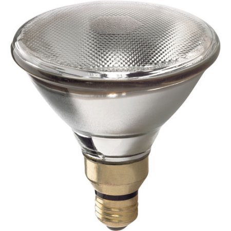 BULB 60W 1500H PAR SPOT