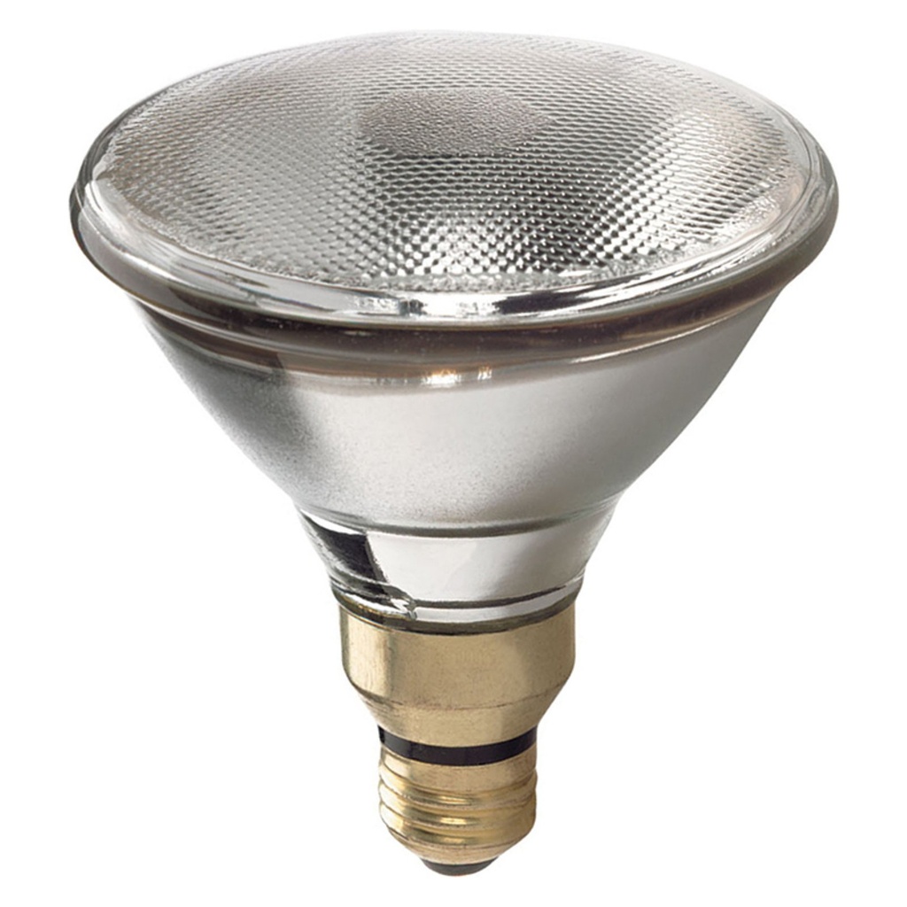 BULB 80W 1100H PAR38SPOT