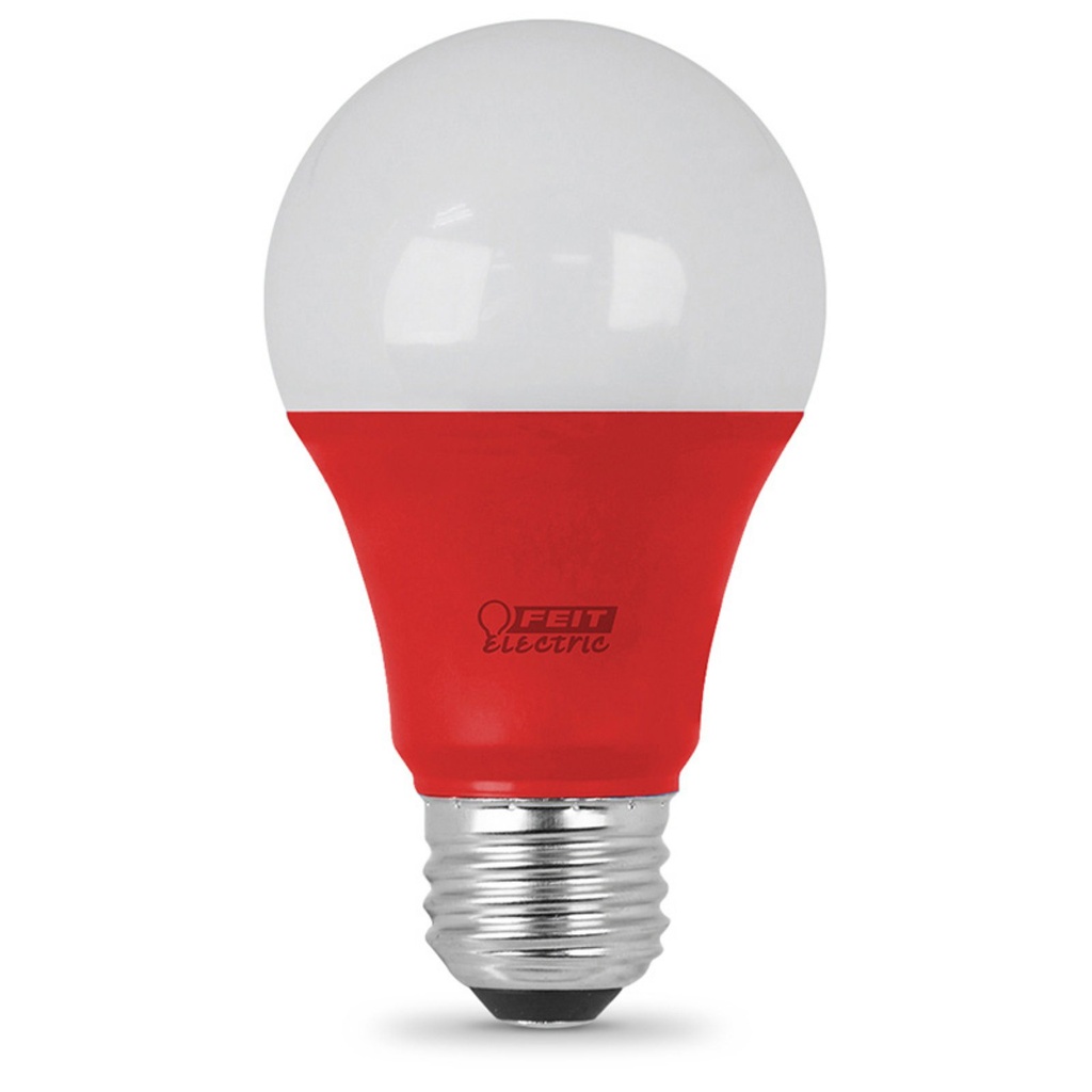 Feit Electric 211079 3 W LED Bulb  Red