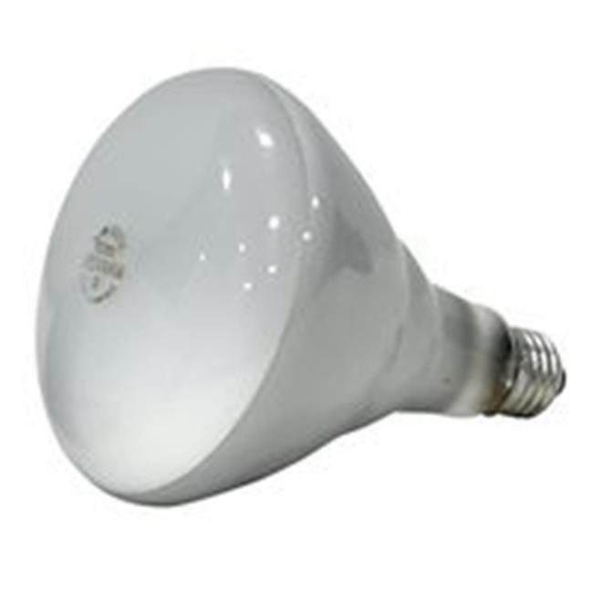 INCNDST BULB BR40 SW 65W