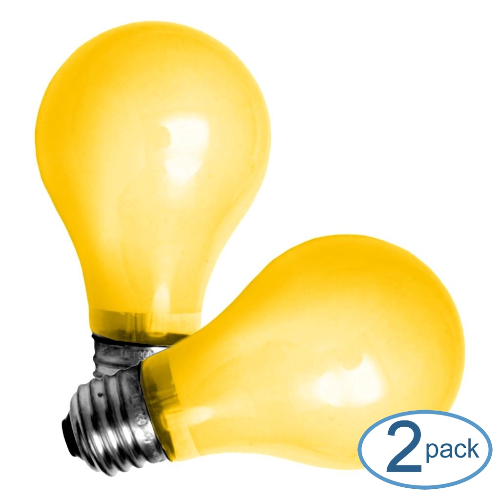 BULB BUG LITE 60W PK2 GE