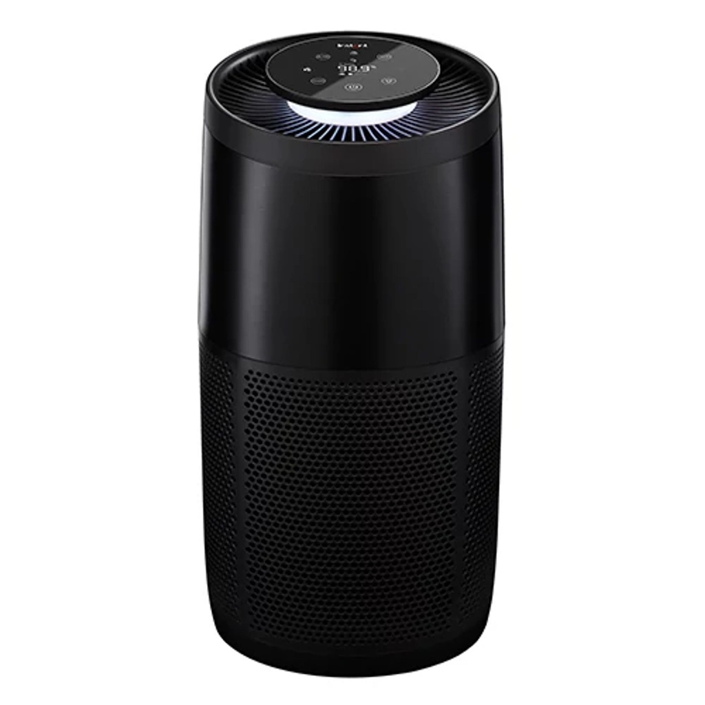 AIR PURIFIER CHRCOAL LRG