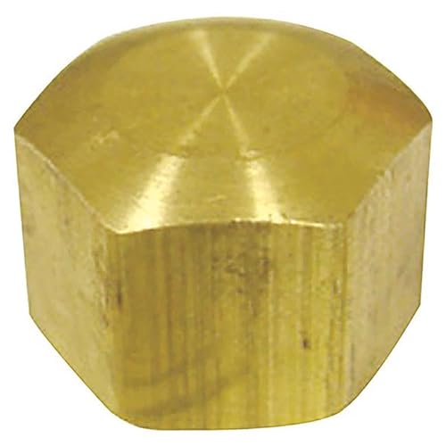 [4016938] 1/4 in. Compression Brass Cap