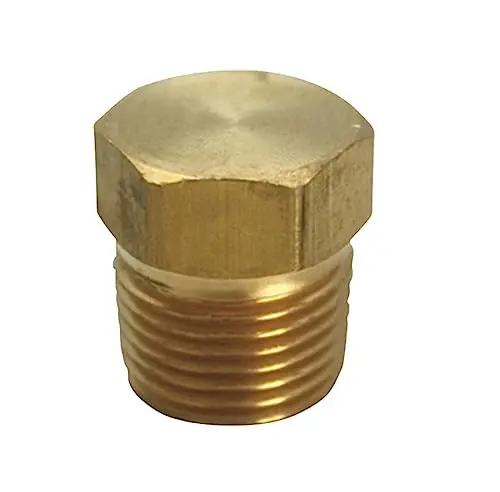 1/2 in. MPT Brass Hex Head Plug